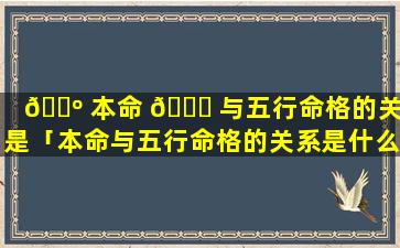 🐺 本命 🐛 与五行命格的关系是「本命与五行命格的关系是什么意思」